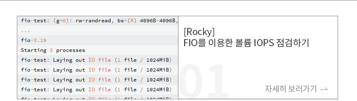 [Rocky] FIO ̿  IOPS ϱ